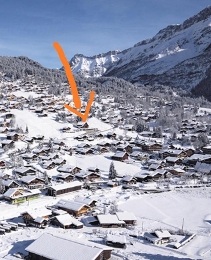 Studio Avec Vue Splendide Sur Les Diablerets Exteriér fotografie
