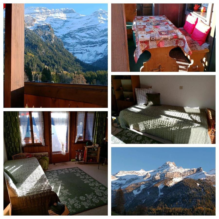Studio Avec Vue Splendide Sur Les Diablerets Exteriér fotografie