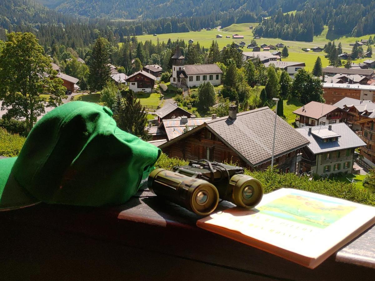 Studio Avec Vue Splendide Sur Les Diablerets Exteriér fotografie